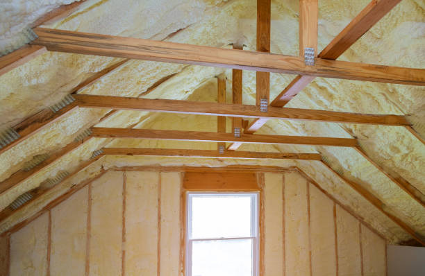 Best Specialized Insulation Services in Cinco Ranch, TX
